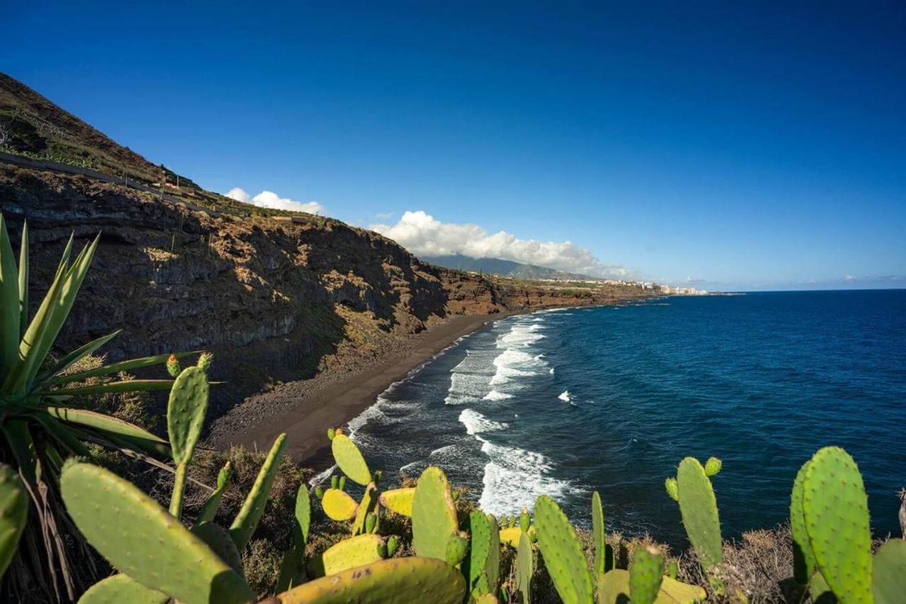 Dragos Del Mar , Espacio Natural Ла Оротава Екстериор снимка
